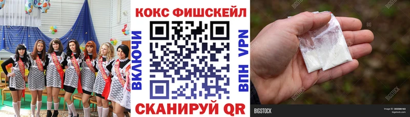 Cocaine Fish Scale  Купить закладки  Верхотурье 