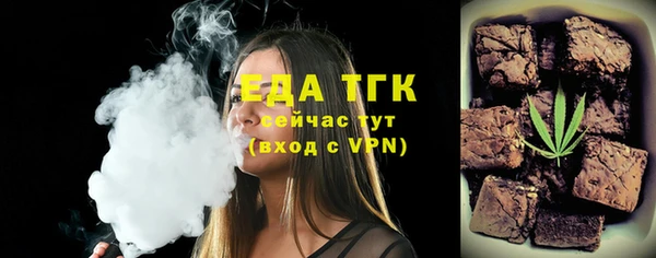 крисы Бородино