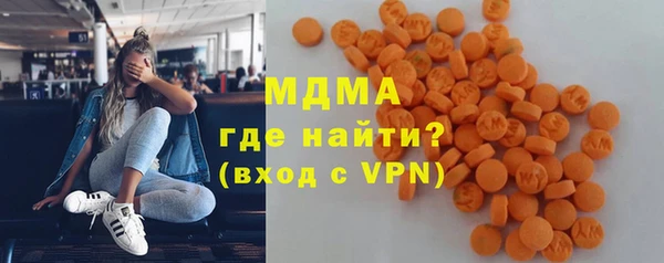 крисы Бородино