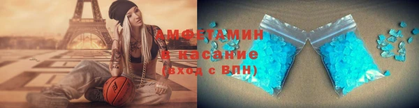 крисы Бородино
