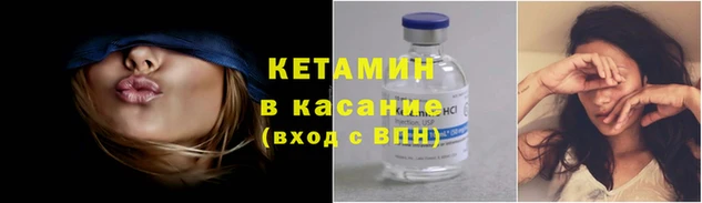 крисы Бородино