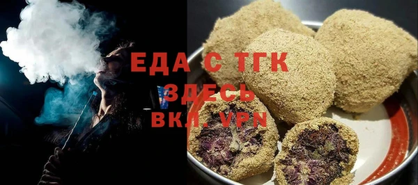 крисы Бородино