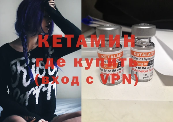 крисы Бородино