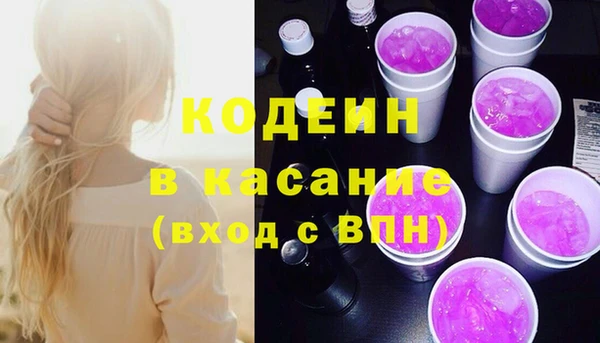 крисы Бородино