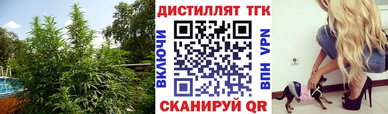 Купить  Верхотурье  ТГК вейп 